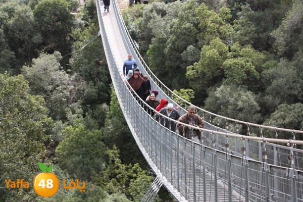 re7la7efa483 (58).JPG